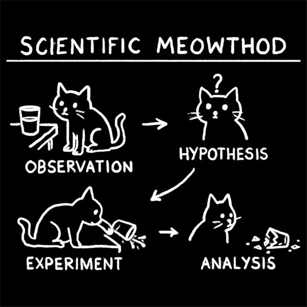 Scientific Meowthod Teeforgeeks Hoodie