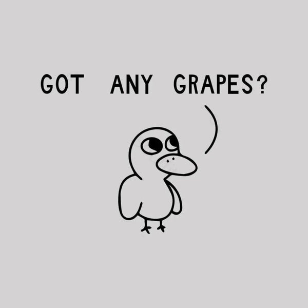 Got Any Grapes Teeforgeeks Hoodie