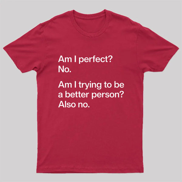 Am I Perfect No T-Shirt