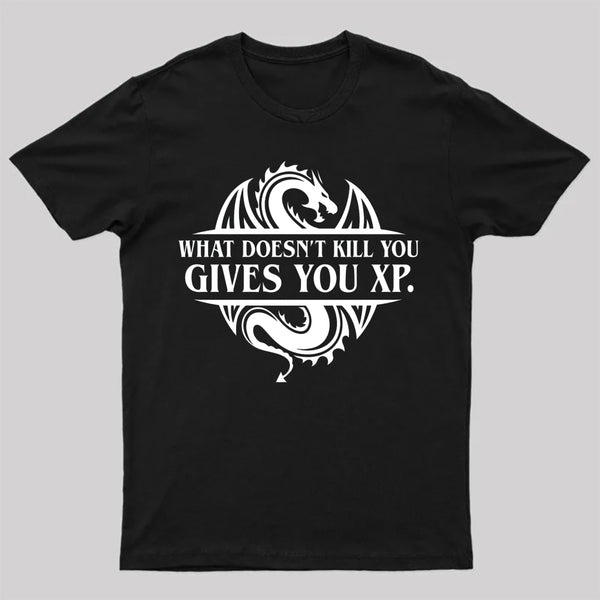 What Doesnt Kill You Give You Experience T-Shirt
