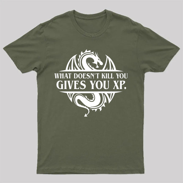 What Doesnt Kill You Give You Experience T-Shirt