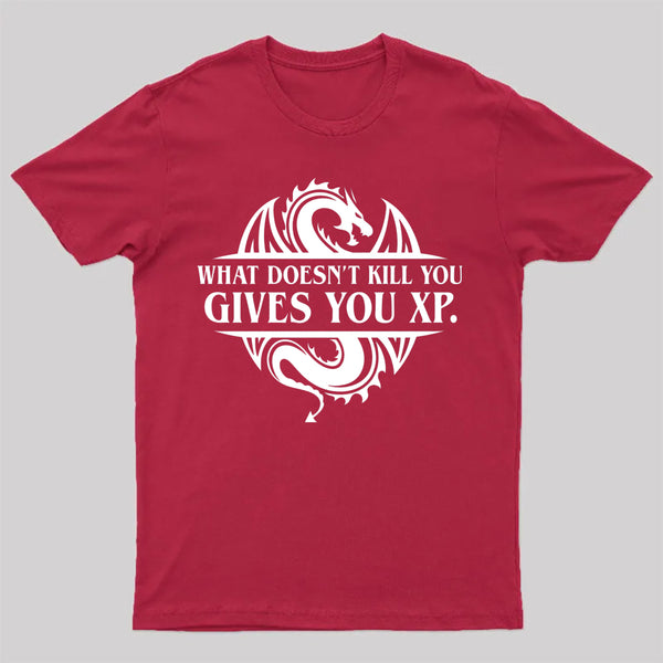 What Doesnt Kill You Give You Experience T-Shirt