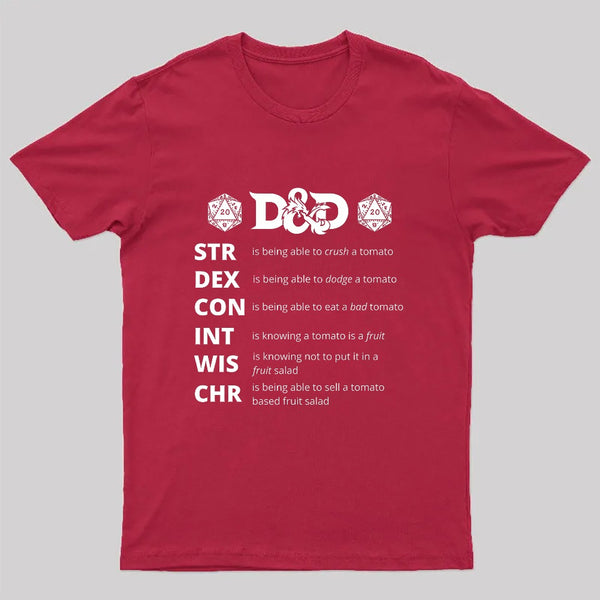 Dungeons And Dragons Gift Geek T-Shirt