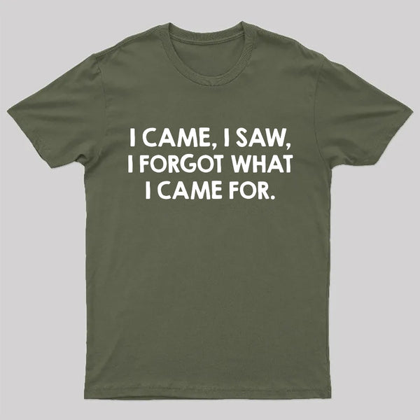 I Came and Saw Nerd T-Shirt