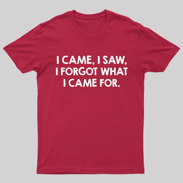 I Came and Saw Nerd T-Shirt