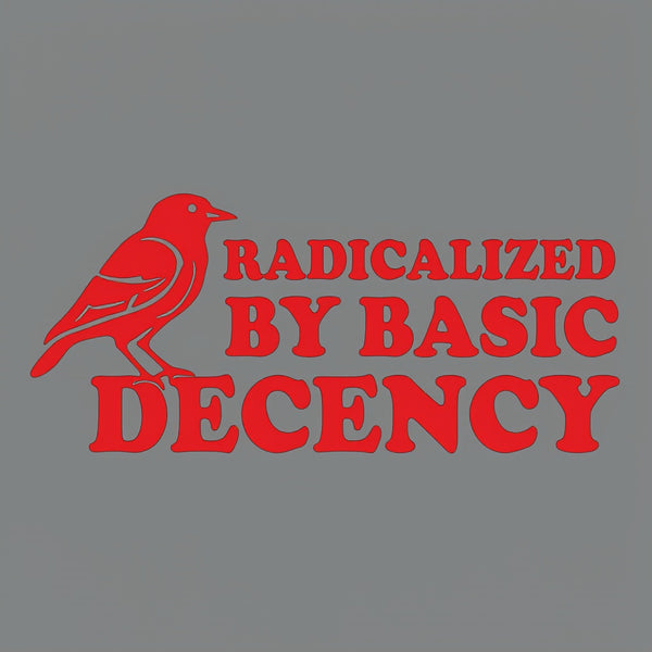 Radicalized by Basic Decency Front and Back Printed Geek T-Shirt