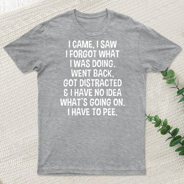 I Came I Saw I Forgot What I Was Doing T-Shirt