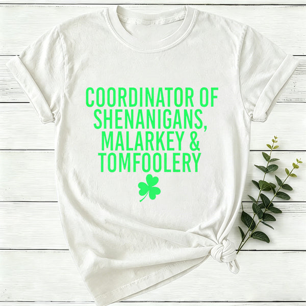 Coordinator Of Shenanigans Women T-Shirt