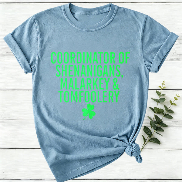 Coordinator Of Shenanigans Women T-Shirt