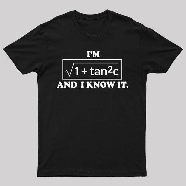 Funny Secant Function Math Pun T-Shirt