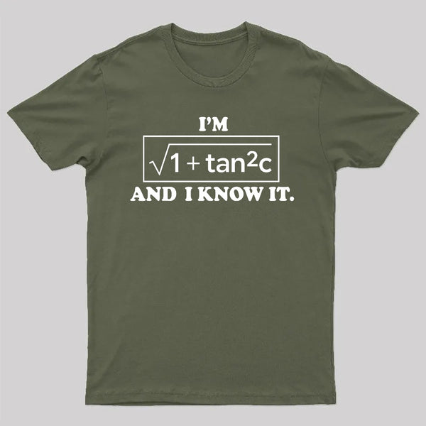 Funny Secant Function Math Pun T-Shirt