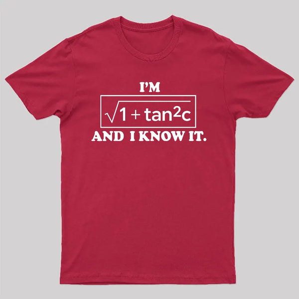 Funny Secant Function Math Pun T-Shirt