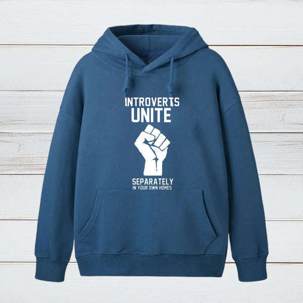 Introverts Unite teeforgeeks Hoodie