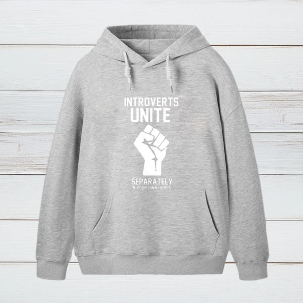 Introverts Unite teeforgeeks Hoodie