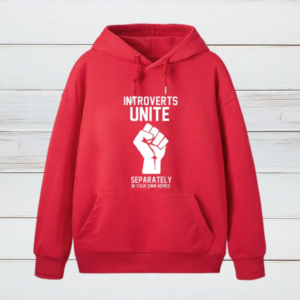 Introverts Unite teeforgeeks Hoodie